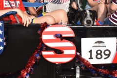 DSC_0209